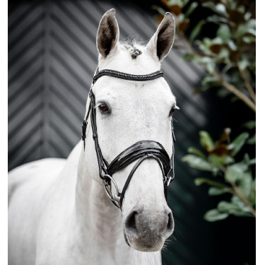 Brida Horseware Diamante Flash Negro / negro