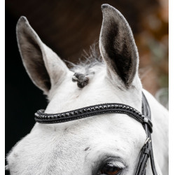 Brida Horseware Diamante Flash Negro / negro