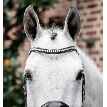 Brida Horseware Diamante Flash Negro / plata