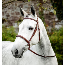 Brida de equitación Hunter Cavesson con riendas