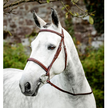 Brida de equitación Hunter Cavesson con riendas