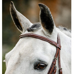 Brida de equitación Hunter Cavesson con riendas