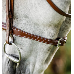 Brida de equitación Hunter Cavesson con riendas