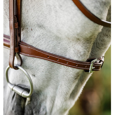 Brida de equitación Hunter Cavesson con riendas