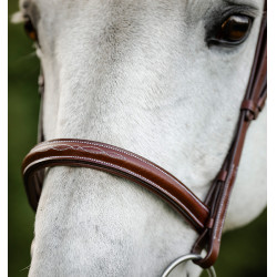 Brida de equitación Hunter Cavesson con riendas