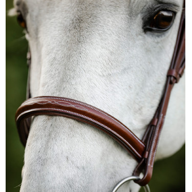 Brida de equitación Hunter Cavesson con riendas