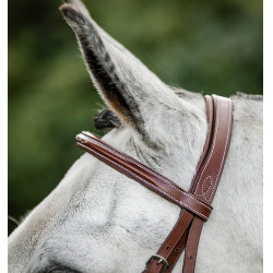 Brida de equitación Hunter Cavesson con riendas