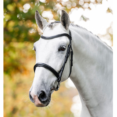 Cabezada Horseware con cadenilla Negro