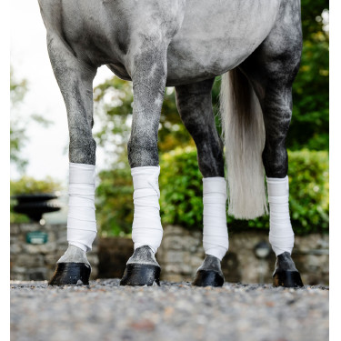 Vendas acolchadas Horseware Blanco