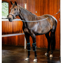 Rodilleras de equitación Ice-Vibe para caballo | Horseware Rodilleras de equitación Ice-Vibe para caballo | Horseware