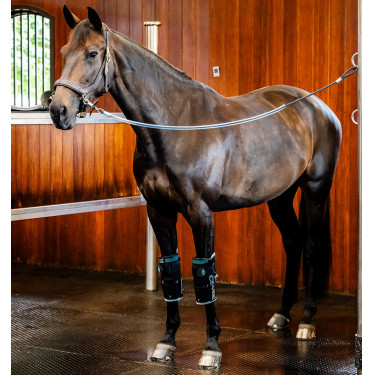 Rodilleras de equitación Ice-Vibe para caballo | Horseware Rodilleras de equitación Ice-Vibe para caballo | Horseware