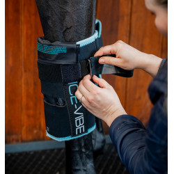 Rodilleras de equitación Ice-Vibe para caballo | Horseware Rodilleras de equitación Ice-Vibe para caballo | Horseware