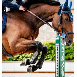 Guarniciones Horseware® Classic Negro / negro Guarniciones Horseware® Classic Negro / negro