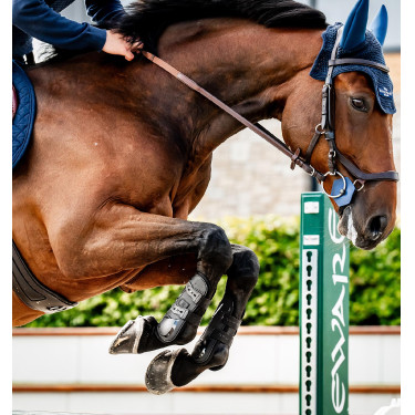 Guarniciones Horseware® Classic Negro / negro Guarniciones Horseware® Classic Negro / negro