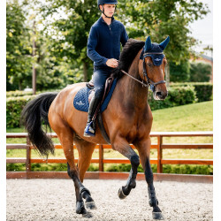 Guarniciones Horseware® Classic Negro / negro Guarniciones Horseware® Classic Negro / negro
