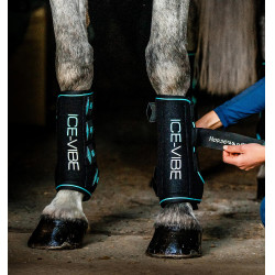 Guarniciones Horseware Ice-Vibe Negro / aqua Azul Guarniciones Horseware Ice-Vibe Negro / aqua Azul
