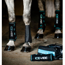Guarniciones Horseware Ice-Vibe Negro / aqua Azul Guarniciones Horseware Ice-Vibe Negro / aqua Azul