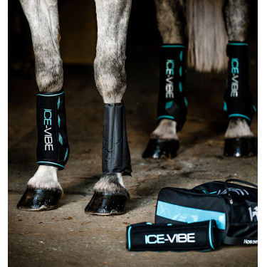 Guarniciones Horseware Ice-Vibe Negro / aqua Azul Guarniciones Horseware Ice-Vibe Negro / aqua Azul
