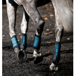 Guetres de doma Horseware® Classic Verde dinastía Guetres de doma Horseware® Classic Verde dinastía