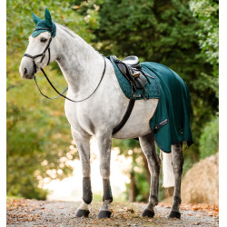 Guetres de doma Horseware® Classic Verde dinastía Guetres de doma Horseware® Classic Verde dinastía
