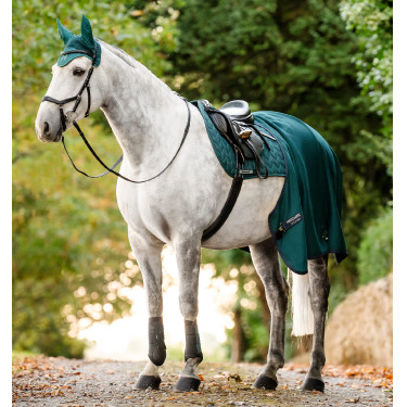 Guetres de doma Horseware® Classic Verde dinastía Guetres de doma Horseware® Classic Verde dinastía