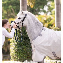 Camisa antimoscas Horseware Amigo Bug Rug Pony Plata / gris titanio / plata Camisa antimoscas Horseware Amigo Bug Rug Pony Plata / gris titanio / plata