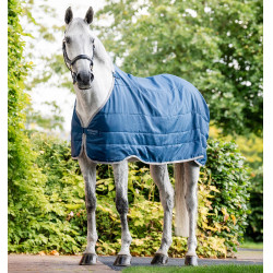 Forro Horseware Ionic Therapy 50g Bleu imperial / argent /Marine Azul Forro Horseware Ionic Therapy 50g Bleu imperial / argent /Marine Azul
