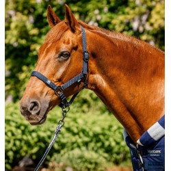 Cabezada y ramal Horseware Newmarket Marine witney Azul marino