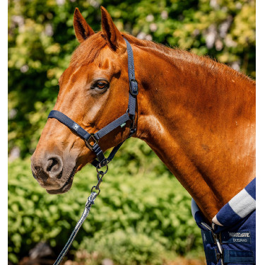 Cabezada y ramal Horseware Newmarket Marine witney Azul marino