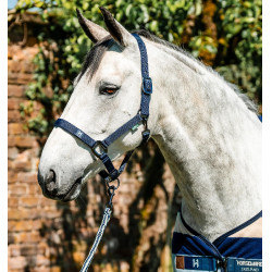 Cabezada y ramal Horseware Newmarket Marine witney Azul marino