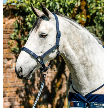 Cabezada y ramal Horseware Newmarket Marine witney Azul marino