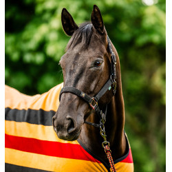 Cabezada y ramal Horseware Newmarket Oro blanco Cabezada y ramal Horseware Newmarket Oro blanco