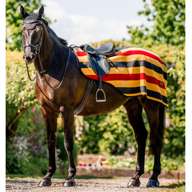 Manta polar para grupa Horseware Newmarket Oro blanco