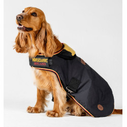 Capa impermeable para perro Horseware de equitación