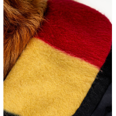 Capa impermeable para perro Horseware de equitación