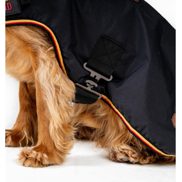 Capa impermeable para perro Horseware de equitación