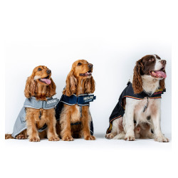 Capa impermeable para perro Horseware de equitación Capa impermeable para perro Horseware de equitación