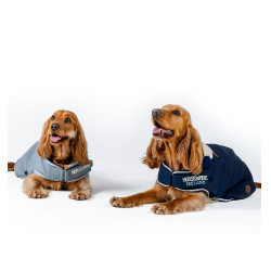 Capa impermeable para perro Horseware de equitación Capa impermeable para perro Horseware de equitación