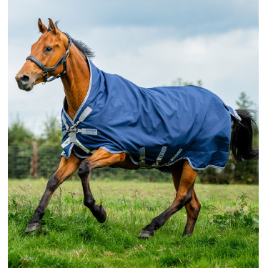 Cobertura Horseware Rhino Wug Turnout 0g Negro / gris titanio / azul clásico Cobertura Horseware Rhino Wug Turnout 0g Negro / gris titanio / azul clásico