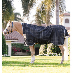 Manta de exterior pony 250g Horseware Rhino Wug