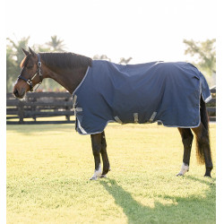Manta de exterior para caballo 100g Horseware Rhino Manta de exterior para caballo 100g Horseware Rhino