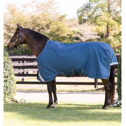 Manta Horseware Rhino Turnout 100g Marino / gris / aqua / gris Azul marino