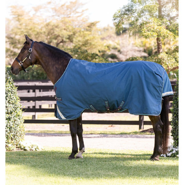 Manta Horseware Rhino Turnout 100g Marino / gris / aqua / gris Azul marino