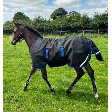 Manta de equitación potro 900D 200g impermeable