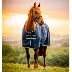 Manta Horseware Amigo Ripstop 900D Poney Turnout 100g Marine witney Azul marino