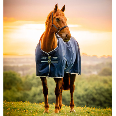 Manta Horseware Amigo Ripstop 900D Poney Turnout 0g Marine witney Azul marino