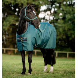 Manta Horseware Amigo Ripstop 900D Poney Turnout 0g Verde dinastía / marino / plata