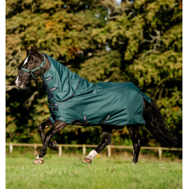 Manta Horseware Amigo Ripstop 900D Plus Poney Turnout 50g Verde dinastía / marino / plata Manta Horseware Amigo Ripstop 900D Plus Poney Turnout 50g Verde dinastía / marino / plata