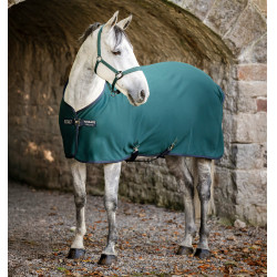 Manta Horseware Amigo Jersey Poney Cooler Verde dinastía / marino / plata