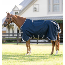 Manta de invierno impermeable para caballo 250g